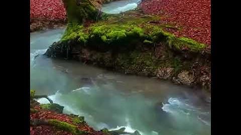 چند آیت سورة فجر تلاوت بسیار زیبا