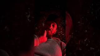 Why Do I Do What I Do ? ? 19Keys Answers.. Its A Labour Of Love