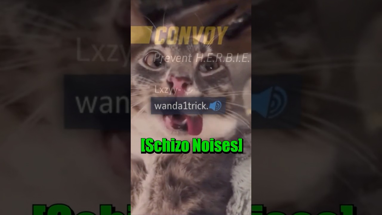 Is This HateMaxxing?