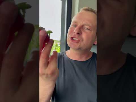 Wideo: 4 sposoby na gotowanie zielonej lub brązowej soczewicy