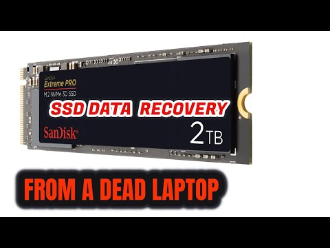 How To Recover SSD HDD Data From A Dead Laptop | Don't Waste Money on Data Recovery