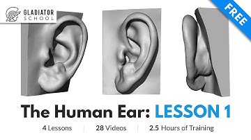 The Human Ear: Lesson 01