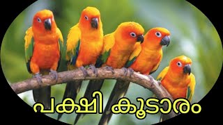 bird farming...@catsworld1469 #birds #exoticbirds #birdlovers #finches by cats world 930 views 2 years ago 29 minutes
