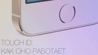 Touch ID: как работает сканер отпечатков пальцев в iPhone 5s