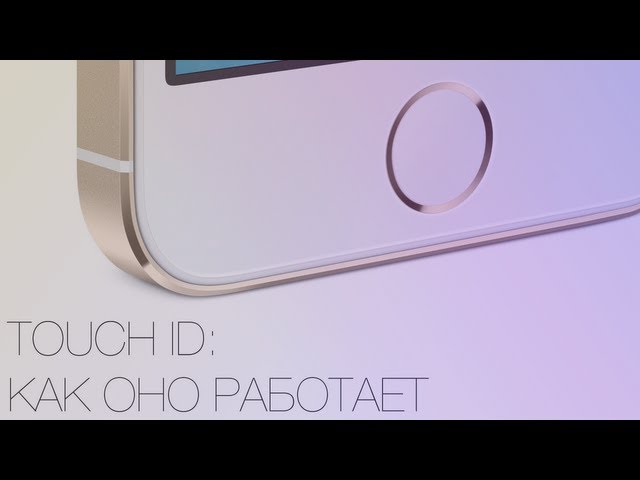 Обзор iPhone 5s: Великолепное продолжение линейки iPhone.. Touch ID.. Фото.