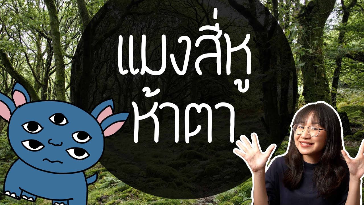 แมงสี่หูห้าตา | Point of View