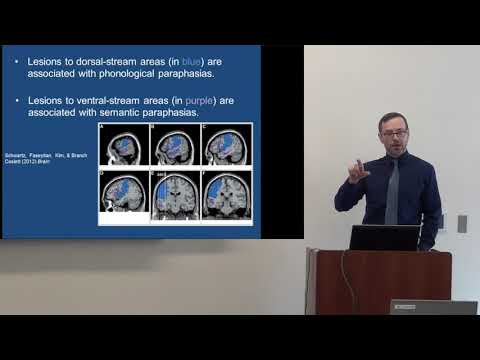 "Language Connectivity Pathways and Neuroplasticity in Aphasia", Will Hula