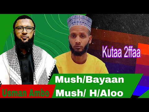 Turtii Munshiida Bayaan H Aloo Kabir Umar Wojjiin Kutaa 2ffaa 