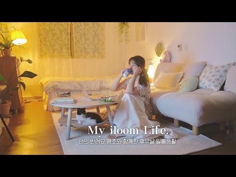 (NO SUB) <strong>나의</strong> 자취생활은 일룸과 함께 🙋🏻‍♀️이제는 <strong>카페</strong> 레시피를 짜고, <strong>카페</strong> 마감 후에 휴식을 취하는 공간 🏡