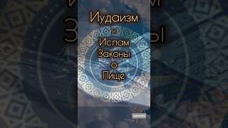 Иудаизм ШЕХИТА | Ислам ДАБИХА, #shorts