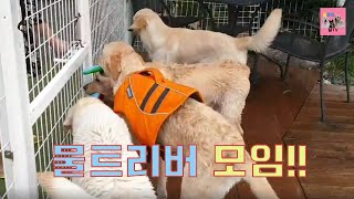 포천 바우와우 소풍다녀왔어요