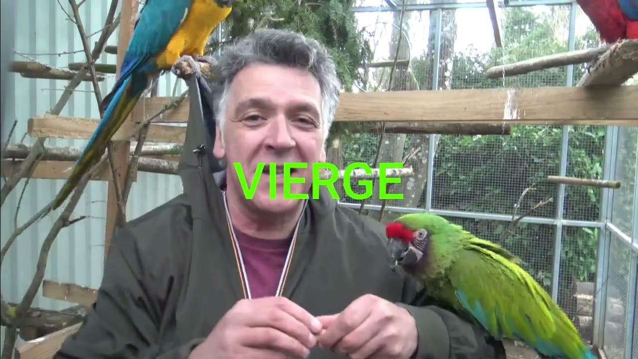  L'HORO HEBDO de Marc Angel 