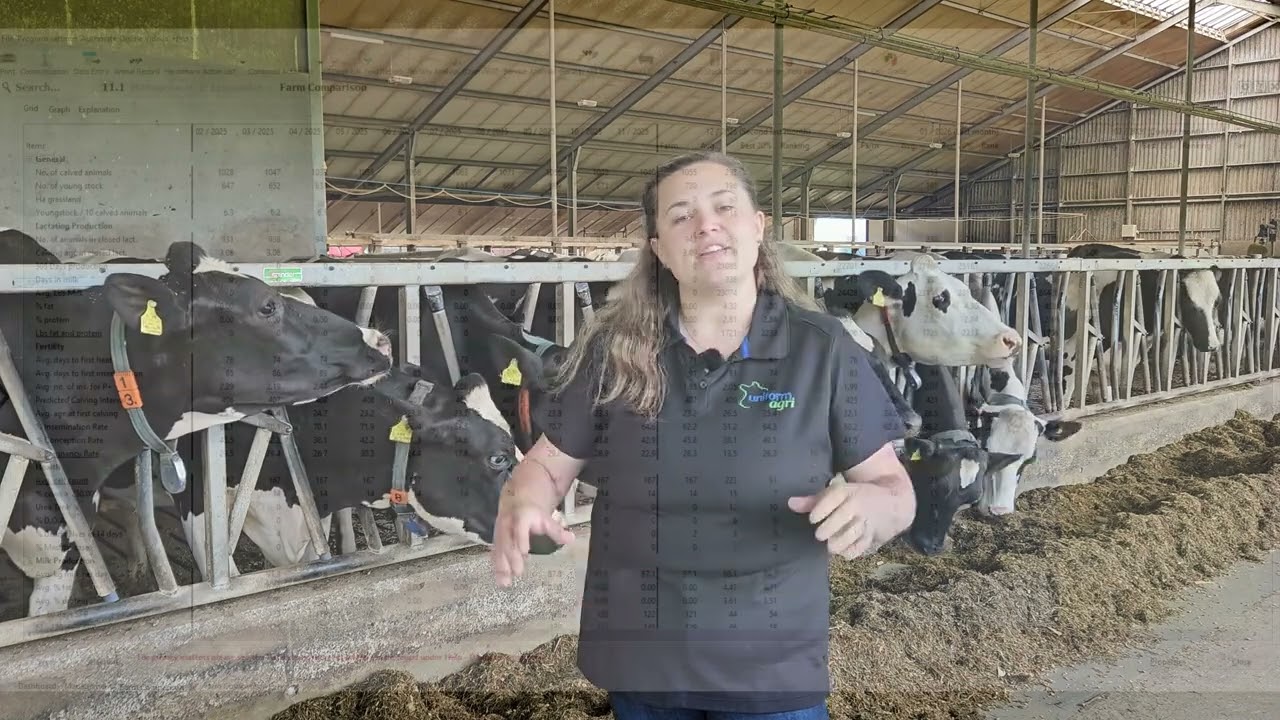 𝗙𝗮𝗿𝗺 𝗖𝗼𝗺𝗽𝗮𝗿𝗶𝘀𝗼𝗻 𝗧𝗼𝗼𝗹: 𝗕𝗲𝗻𝗰𝗵𝗺𝗮𝗿𝗸 𝗬𝗼𝘂𝗿 𝗛𝗲𝗿𝗱