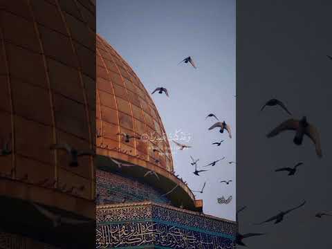 سورة طه الآية 125 بصوت الشيخ عبد الله