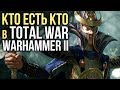 КТО ЕСТЬ КТО В TOTAL WAR: WARHAMMER II? Скавены, Тёмные эльфы, Высшие эльфы, Ящеролюды