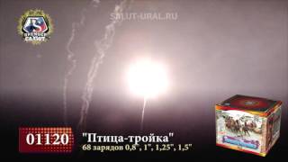 01120 Салют (0,811,25x68) Птица-тройка
