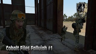 Cobalt Files Fallujah #1 (ArmA 2)