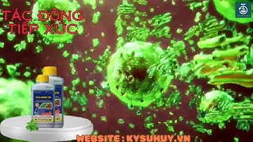 KHAI HOANG Q10 – TRỪ CỎ KHÔNG CHỌN LỌC, HẬU NẢY MẦM - 0776.400.038 #khaihoangq10