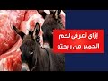 اختبار السكين إزاي تعرفي لحم الحمير من ريحته