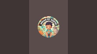 the Indian fish keeper is live!