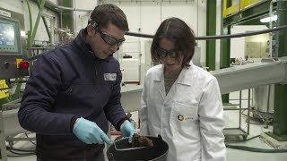 Could Butanol be our new alternative to fossil fuels