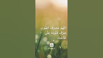 #egzonibrahimi #quran #zalzalah #سورة_الزلزلة #اكسبلور #اقنباسات #لايك #المصحف