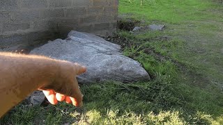 This got to go!