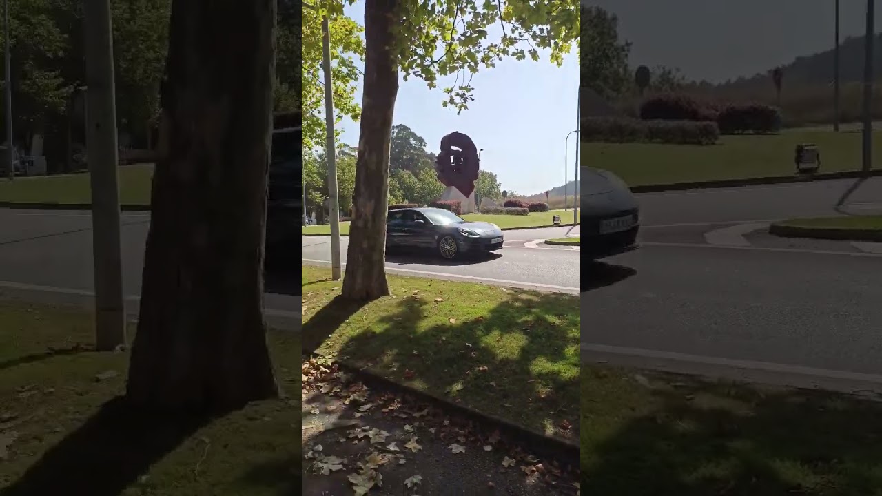 Estatua del Che Guevara en el pueblo más rico de Galicia, España? Raro,raro...
