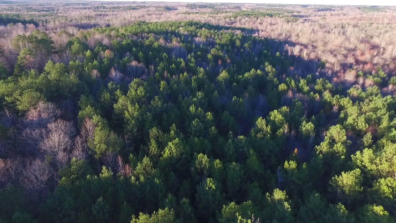 56 Acres Chambers County, Alabama YouTube