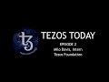 Tezos today  ep 2  milo davis  michelson dev