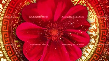 Visual Led Tết - Video Background Tết - Video Background Xuân - Vietnamese Lunar New Year