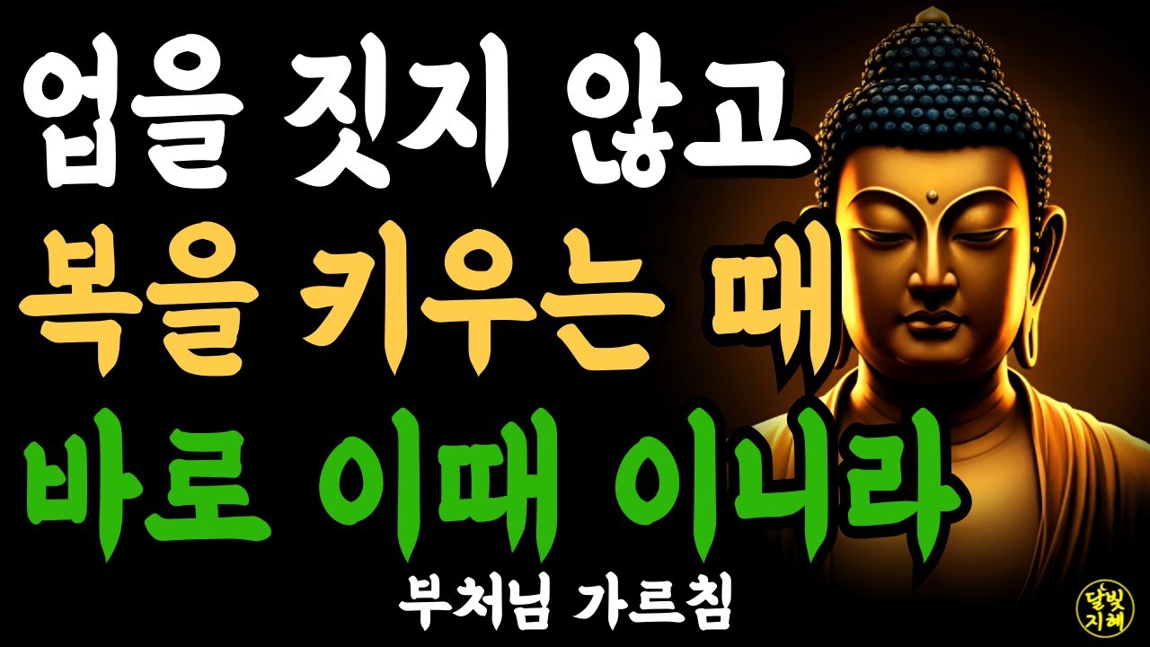 업을 짓지 않고 복을 키우는 때  바로 이때 이니라ㅣ부처님 말씀ㅣ불교 명언ㅣ석가모니 가르침ㅣ반야심경