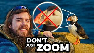 How to Film Wildlife That Looks Cinematic: 6 Mistakes to Avoid