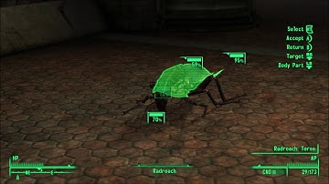 Fallout 3: Radroach