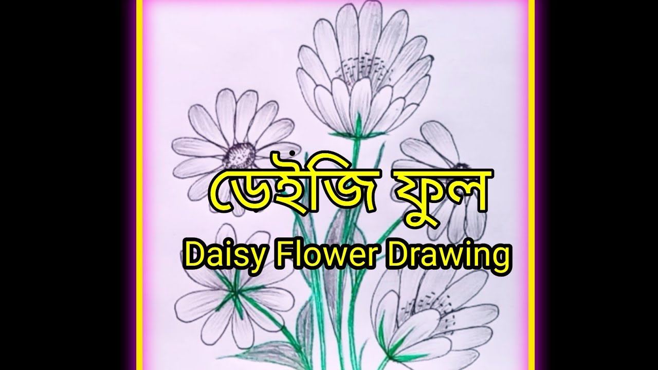 ডেইজি ফুল ড্রইং How To Draw Daisy Flower Flower Drawing Tutorial