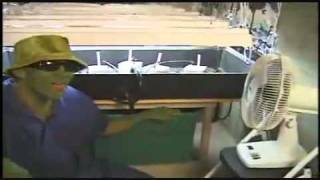 Mr Green How to Build a Basic Indoor Weed Grow Room - Step by Step Construction Guide (5 of 9)