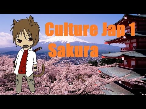 Vidéo: Pourquoi Le Sakura Est Un Symbole Du Japon