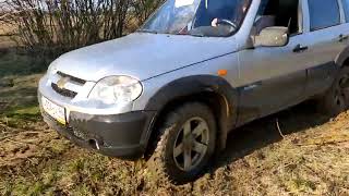 Cordiant Off Road и Шеврале нива . Совместимы.