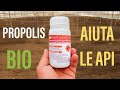 Propolis Bio per favorire l'impollinazione
