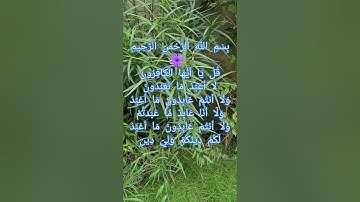 Surah Al-Kafirun (The Disbelievers) | سورة الكافرون | |Mishary Rashid Alafasy