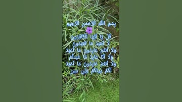 Surah Al-Kafirun (The Disbelievers) | سورة الكافرون | |Mishary Rashid Alafasy