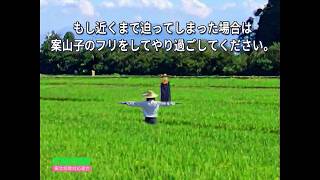 Analog Horror - Scarecrow