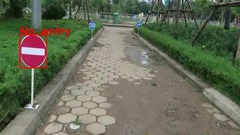 Traffic Sign Detection and Recognition Using CNN