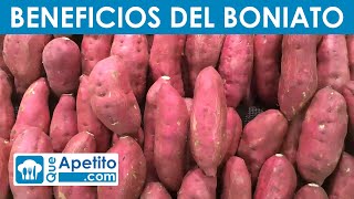 8 Propiedades y Beneficios del Boniato | QueApetito