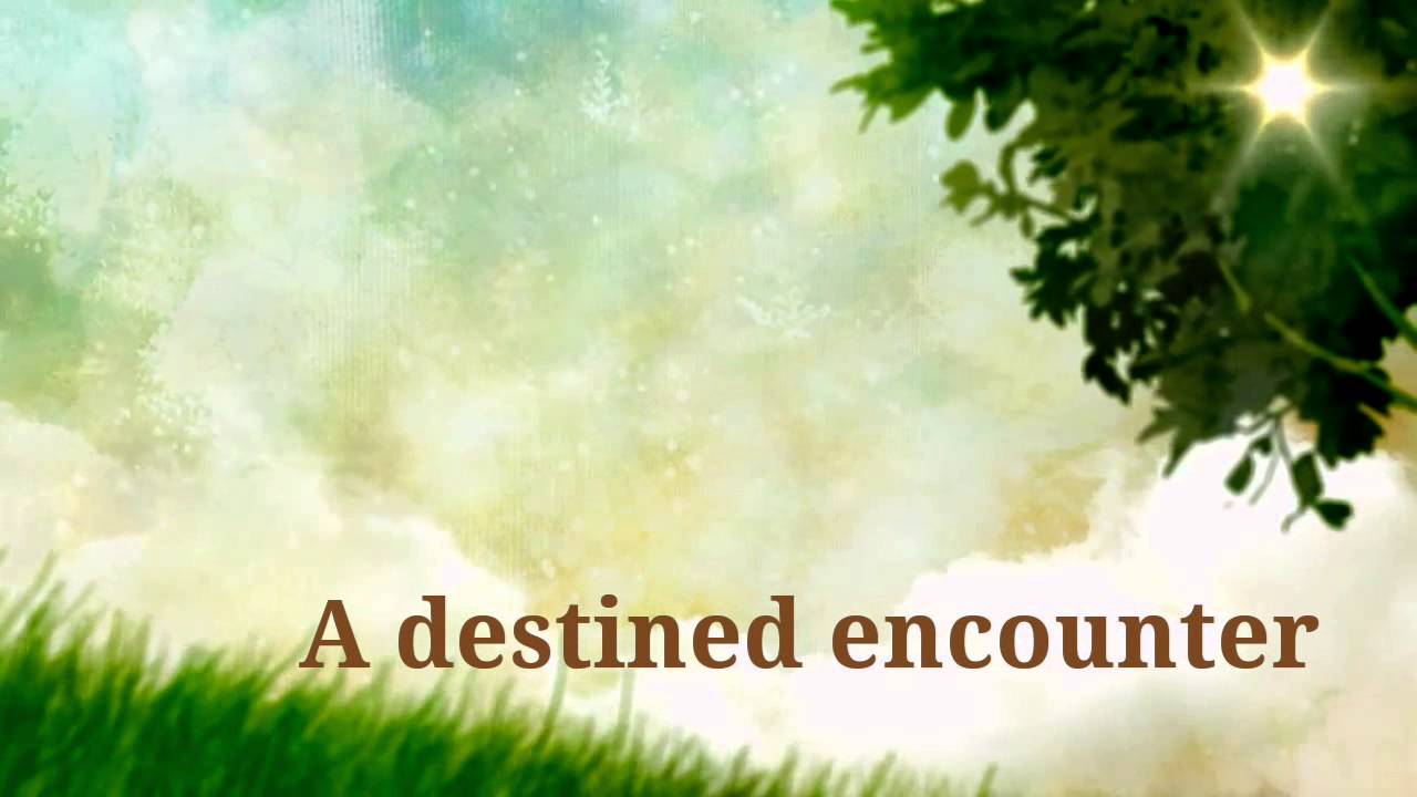 ToMiho - Love Is A Journey