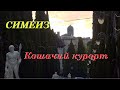 Отдых в Крыму 2020/  Cимеиз рано утром/ Пляж Фрегат у скалы Дива