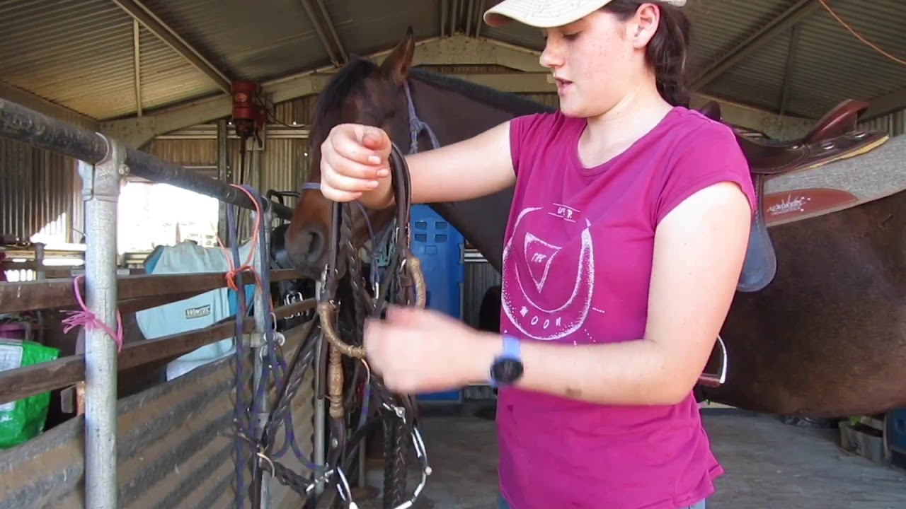 TACK UP AND RIDE ROUTINE | COLLAB WITH IMP EVENTING - YouTube