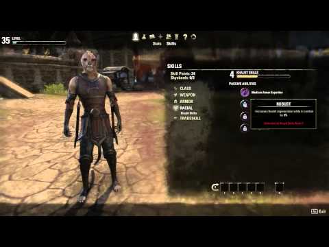 Видео: Красивое видео из Elder Scrolls Online показывает развитие персонажа