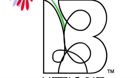 The Little Bit Project GoFundMe Video