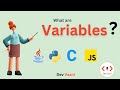 What is a Variable in Programming? | Beginner’s Guide to Coding Basics!
